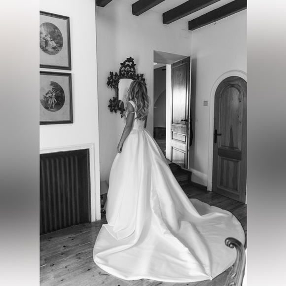 Ines de Santo Aine Dress, dry cleaned, bustled, and amazing - Picture 2 of 14